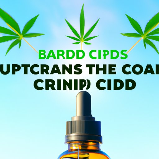 The Ultimate Guide to CBD Brands: Ranking the Top 10 Companies in the Market 