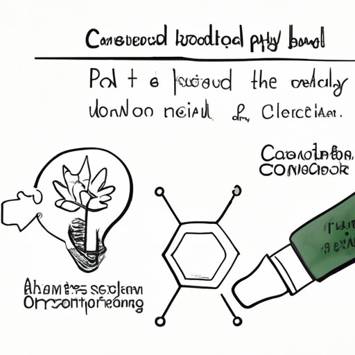 III. CBD Personalization: The Art of Matching the Right Product with Your Needs