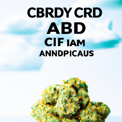 Expert Recommendations: The Best CBD Strains for Anxiety Relief