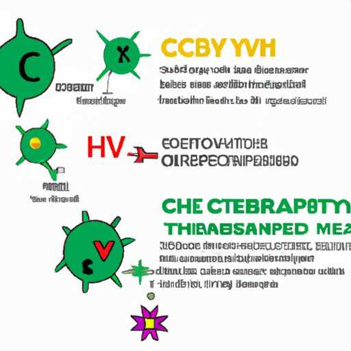 IV. CBD and THC: A Comprehensive Guide to Understanding the Synergistic Effects
