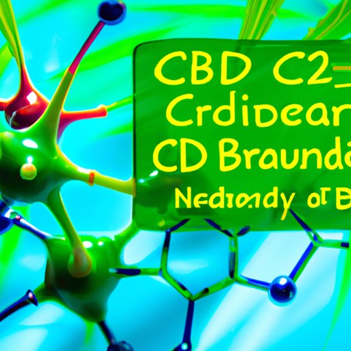 The Role of CBD in Promoting Neuroplasticity and Brain Health