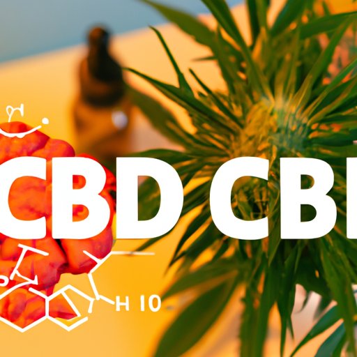 Breaking Down the Science of CBD and Its Effects on Brain Chemistry