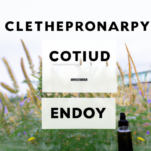IV. From Calmness to Euphoria: The Various Ways CBD Can Make You Feel