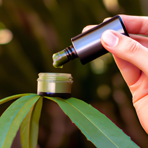 Breaking Down the Science of CBD Lotion: How It Works to Reduce Pain and Stress