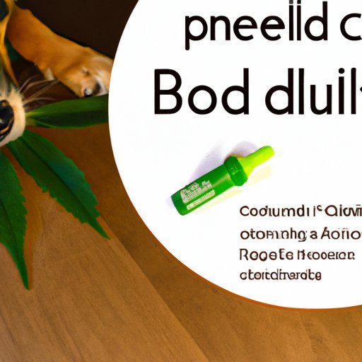 The Scientific Research Behind CBD Oil and Its Effectiveness for Treating Different Ailments in Dogs