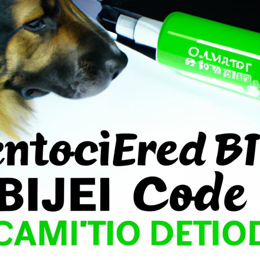 Comprehensive Guide to Understanding the Benefits of CBD Oil for Dogs