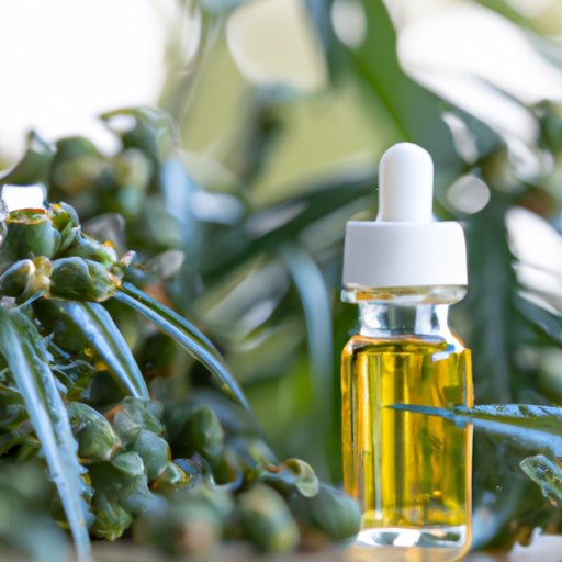 From Anxiety to Pain Management: How CBD Oil is Changing Lives According to Reddit Community