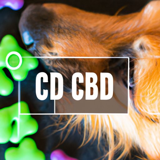 The Unexpected Consequences of Fido Eating Your CBD Gummies