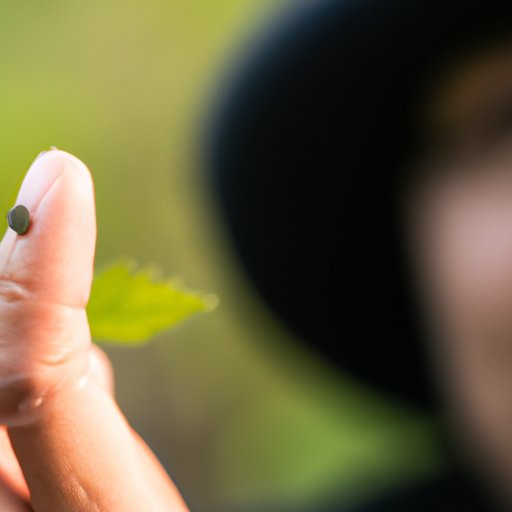  The Science Behind Abiotic Factors 