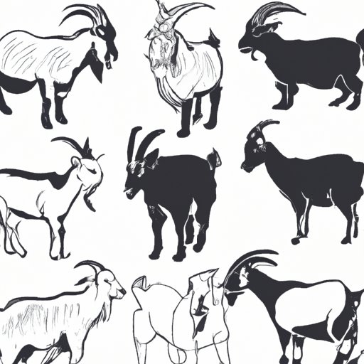 III. The Different Breeds of Goats and Their Characteristics