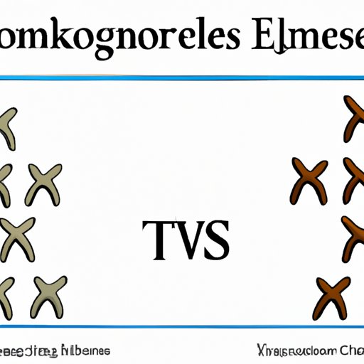 How Homologous Chromosomes Affect Our Understanding of Evolution