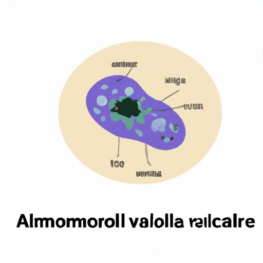 VII. Amoebas: The Tiny Creatures with a Mighty Impact on Human Health and Disease