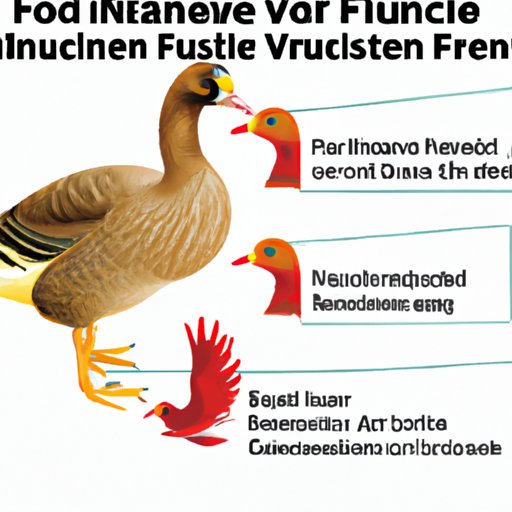 Everything You Need to Know About Avian Influenza