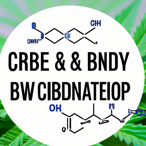  A Comprehensive Guide to Understanding CBC and CBD 
