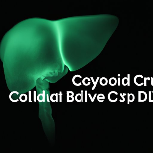 The Future of Liver Disease Diagnosis: How CBD is Revolutionizing Ultrasound Imaging