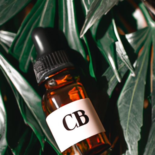 An Introduction to CBD Syrup: Everything You Need to Know
