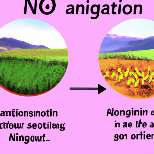 Nitrogen and Its Impact on the Environment