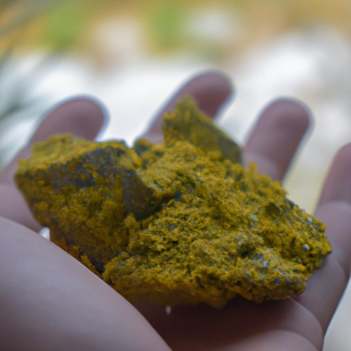  The Pros and Cons of Polyamory: Debunking Myths and Stereotypes 