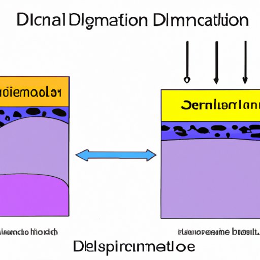 III. Demystifying Simple Diffusion: A Stepping Stone to Understanding Cellular Transport