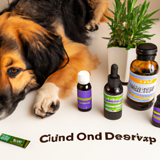 How to Find the Perfect CBD Product for Your Anxious Pup: Tips and Recommendations