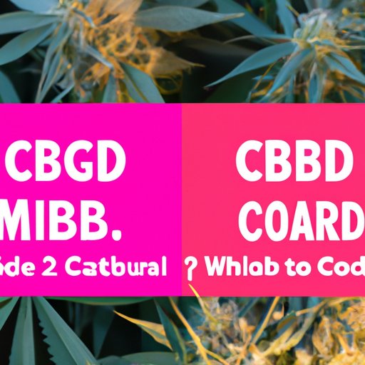 CBD and CBG: How the Two Popular Cannabinoids Affect Your Body Differently