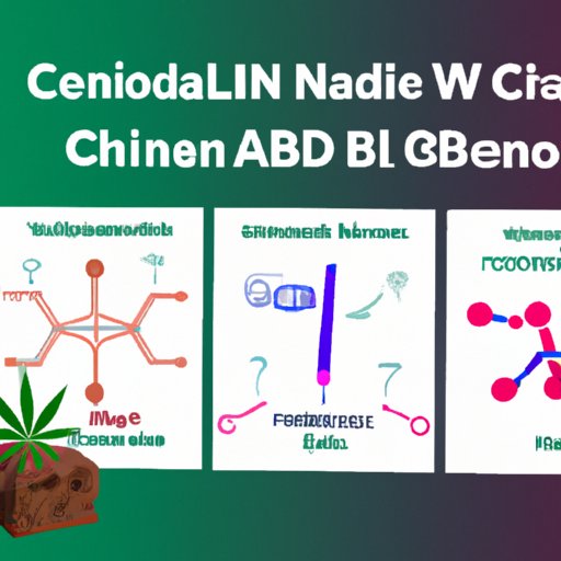  Getting to Know Your Cannabinoids: CBD and CBN Explained 