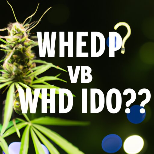 Demystifying Hemp and CBD: How to Distinguish Between Two Popular Cannabis Products