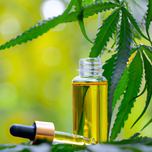  The Ultimate Guide to Buying ACDC CBD Oil