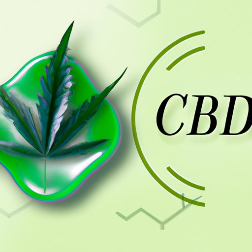 CBD Creams: Where to Find Them and What to Look For