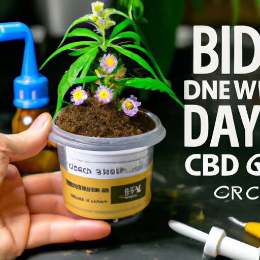 DIY CBD Flower: How to Grow and Cultivate Your Own