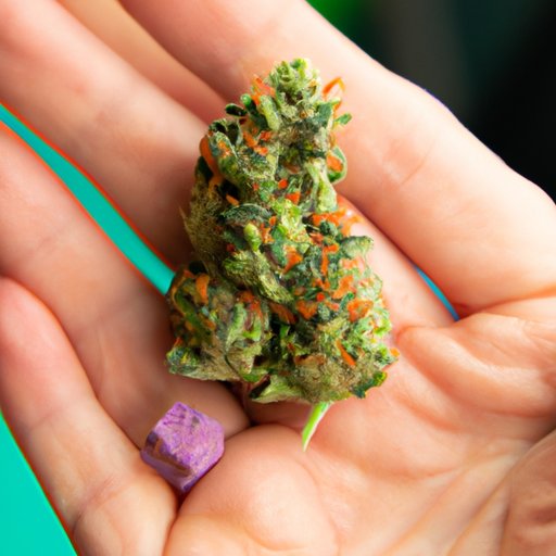 CBD Flower: A Guide to Local Dispensaries and Shops