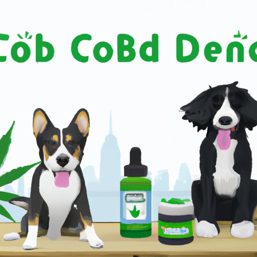 Encouragement to Try CBD Products for Dogs