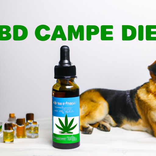 CBD Oil for Dogs: A Comprehensive List of Online Retailers