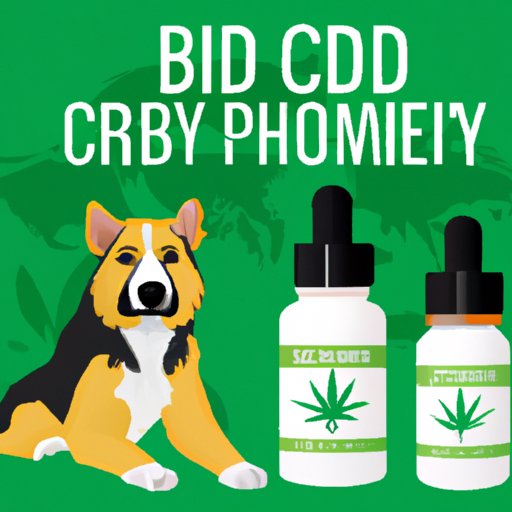 7 Best Places to Buy CBD Oil for Dogs: A Guide for Pet Owners