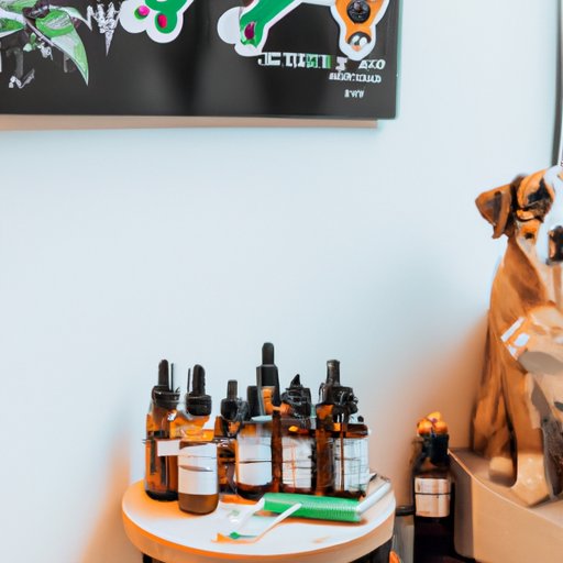 VI. The Best Local Shops to Buy CBD for Your Furry Friend