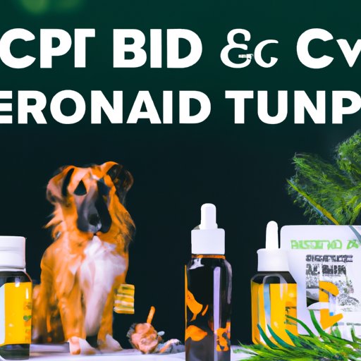 II. Top Online Retailers for CBD Products for Dogs: A Comprehensive List