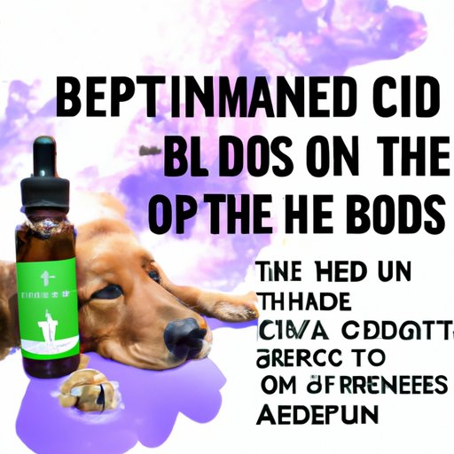 VII. CBD Dosage for Dogs: What to Know Before You Buy