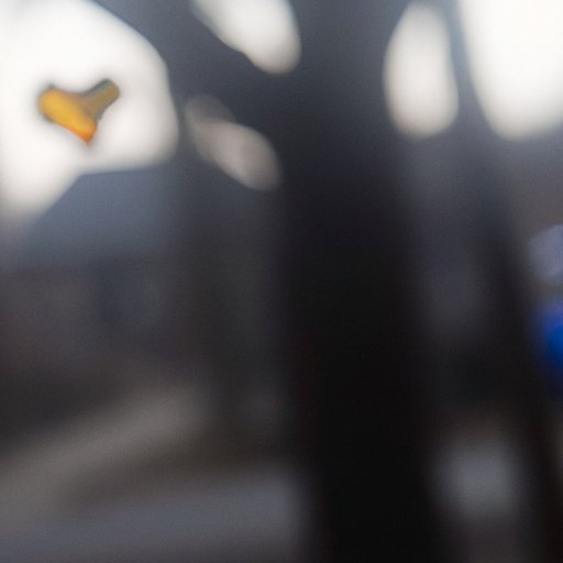 From Brooklyn to Buffalo: Where to Find CBD Gummies in New York State