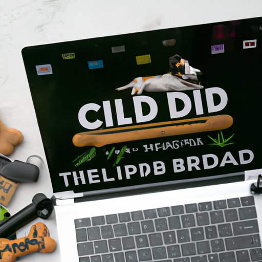 A Guide to Top Online Retailers for CBD Dog Treats