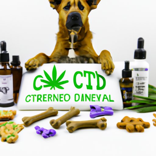 Finding the Best CBD Dog Treats in Your Local Area