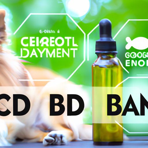 Health Benefits of CBD for Dogs and Where to Buy the Best Products