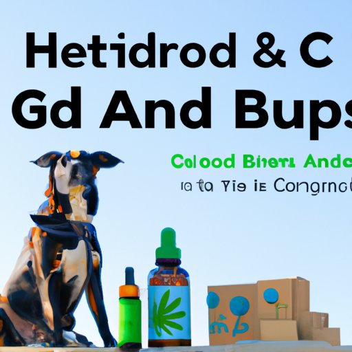 Tips for Finding the Best Local Retailers for CBD Products Aimed at Canines