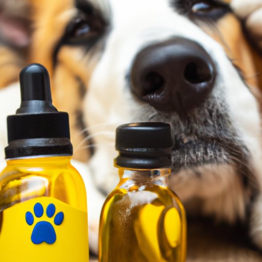Why More and More Pet Owners are Turning to Local Dispensaries for CBD for Dogs