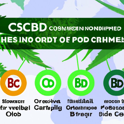 Top 5 Wholesale CBD Distributors for Your Business: Where to Buy CBD in Bulk
