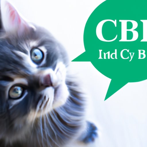 The Benefits of CBD Oil for Your Cat and Where to Buy It
