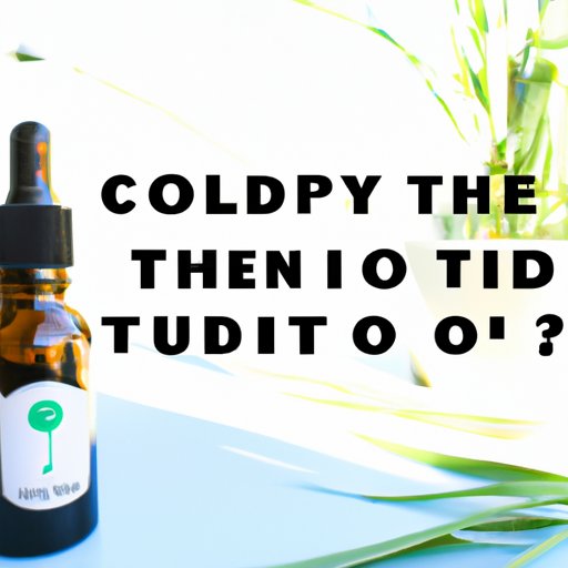 CBD Tincture 101: Where to Buy and What to Look For