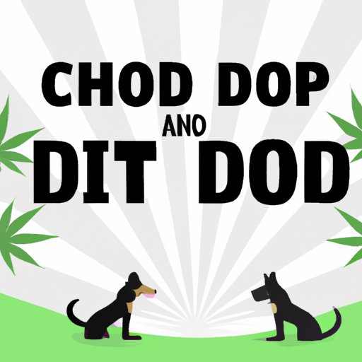 Dog CBD: How to Pick the Right Product and Where to Find It