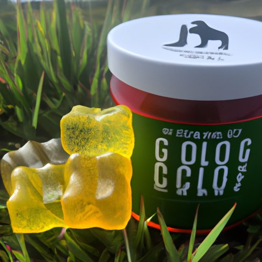 IV. The Ultimate List of Physical Stores Where You Can Grab El Toro CBD Gummies Locally