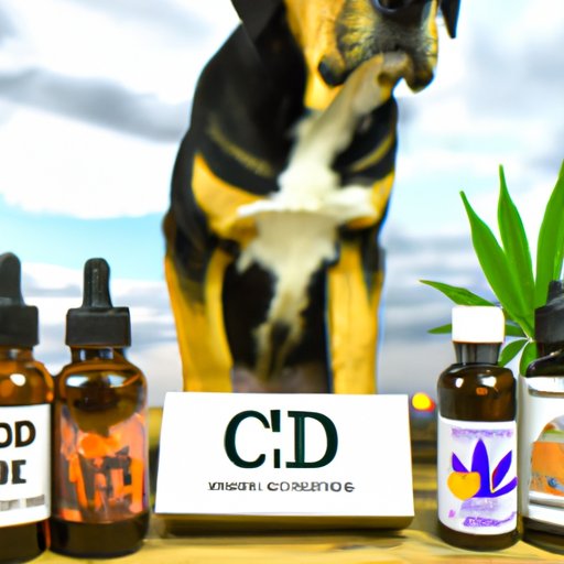 V. Local Pet Stores vs. Online Retailers: Where to Buy CBD for Your Pup