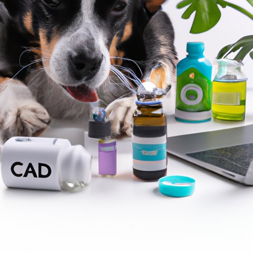 II. The Top 5 Online Retailers for CBD Products for Your Furry Friend